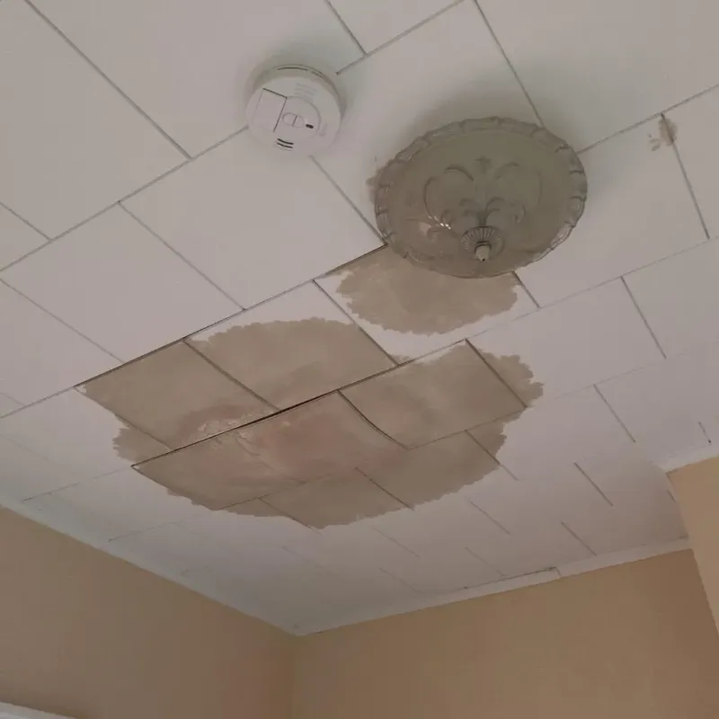 Ceiling Water Damage Repair in Clearlake, CA