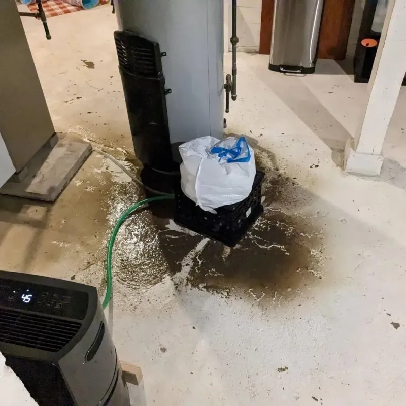 Sewage Backup Cleanup Service in Clearlake, CA